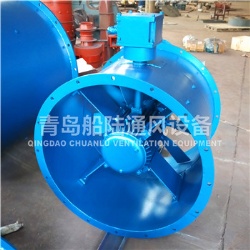 CBZ-50A 船用防爆轴流风机