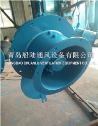 CWZ-250G 船用小型轴流透风机